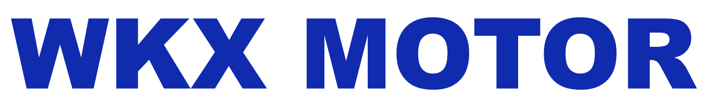 fa.wkxmotor.eu